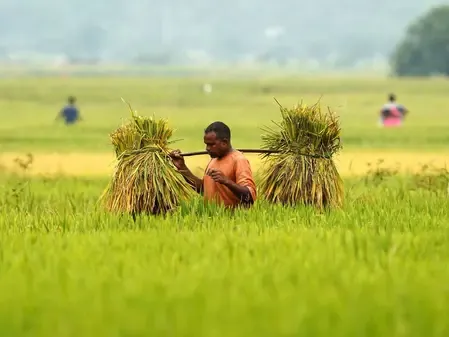 Regenerative agriculture gains ground in India to restore soil health, lift farm resilience