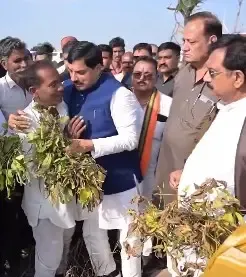 When Does Registration for Wheat Procurement in MP Start? CM Promises Farmers Fair Compensation