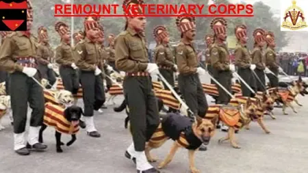 रिमाउंट एवं वेटरनरी कोर के ऐसे पशु योद्धा जो हर कदम पर करते हैं राष्ट्र की सेवा और रक्षा