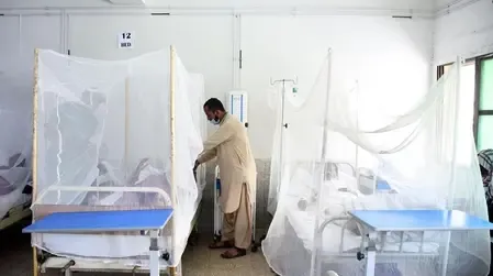 Is Pakistan Facing a Historic Peak in Medical Migration?