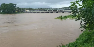 Kerala floods: Animal rescue ops underway in Pathanamthitta, 2,500 animals at risk