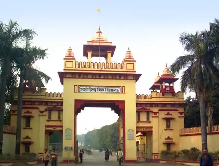 रिसर्चः प्राचीन पौधों के पास है मौसमी तनाव से जूझने की अलग रणनीति