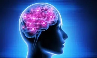 What Progressive Changes in Brain Vessels Reveal About Parkinson's Disease?