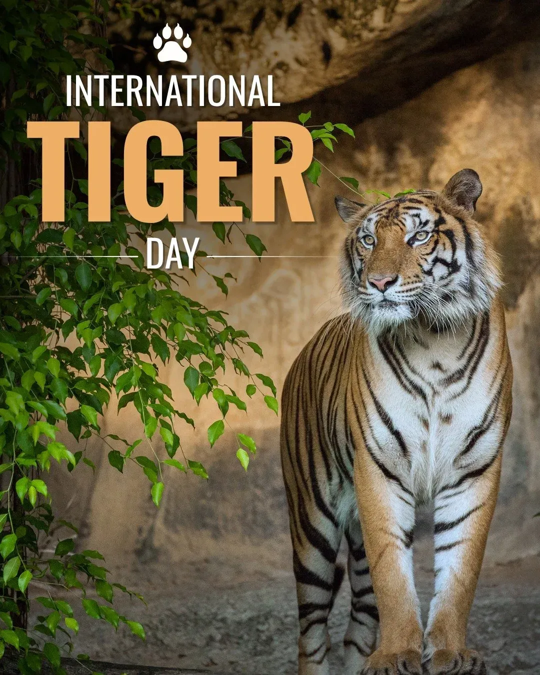 Rijiju calls for tiger habitat protection on International Tiger Day