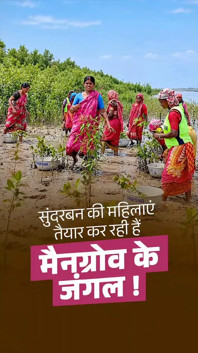 Rijiju Spotlights Sundarbans Women Restoring Mangroves