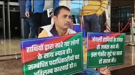 Are Rising Elephant Attacks Becoming a Crisis in Jharkhand Assembly?
