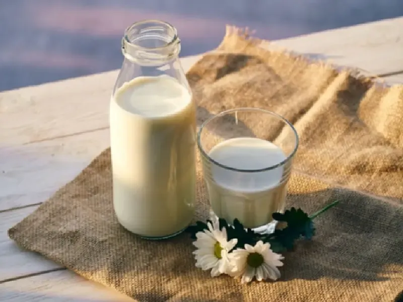 क्या बच्चों को रोजाना दूध देना सही है? सही समय और मात्रा जानना क्यों है जरूरी?