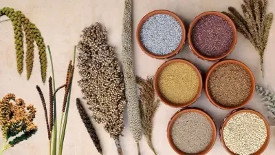 Government Approves Rs 793 Crore for Millet Processing Under PLI Scheme