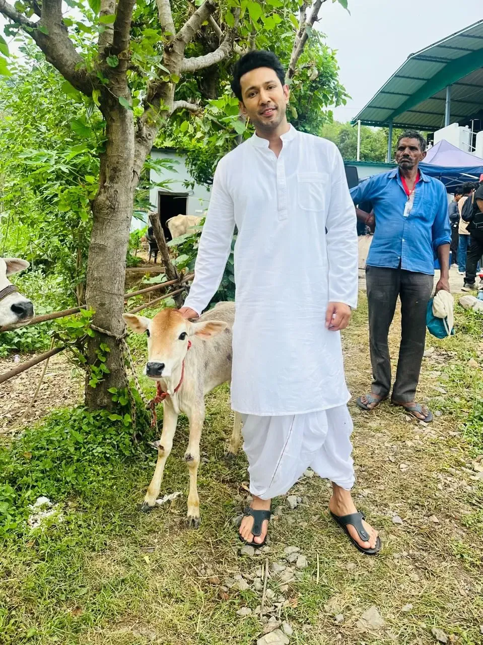 Why Does Sahil Anand Believe the Cow Should Be Our National Animal?