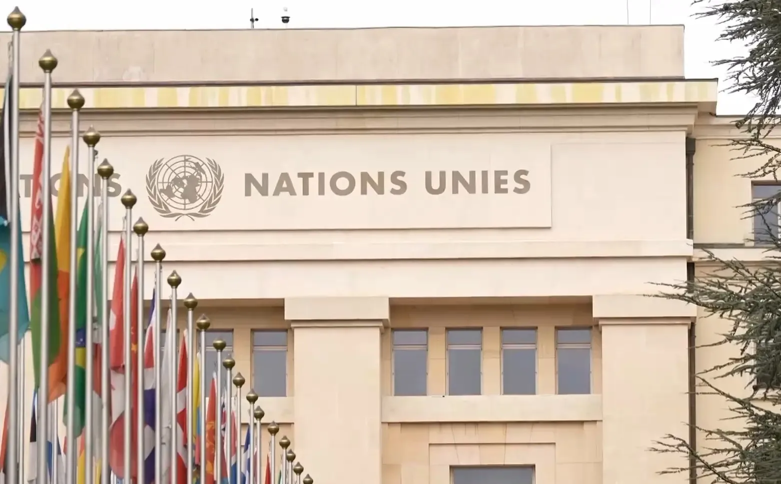 संयुक्त राष्ट्र मानवाधिकार परिषद के 61वें सत्र में चीन का महत्वपूर्ण भाषण