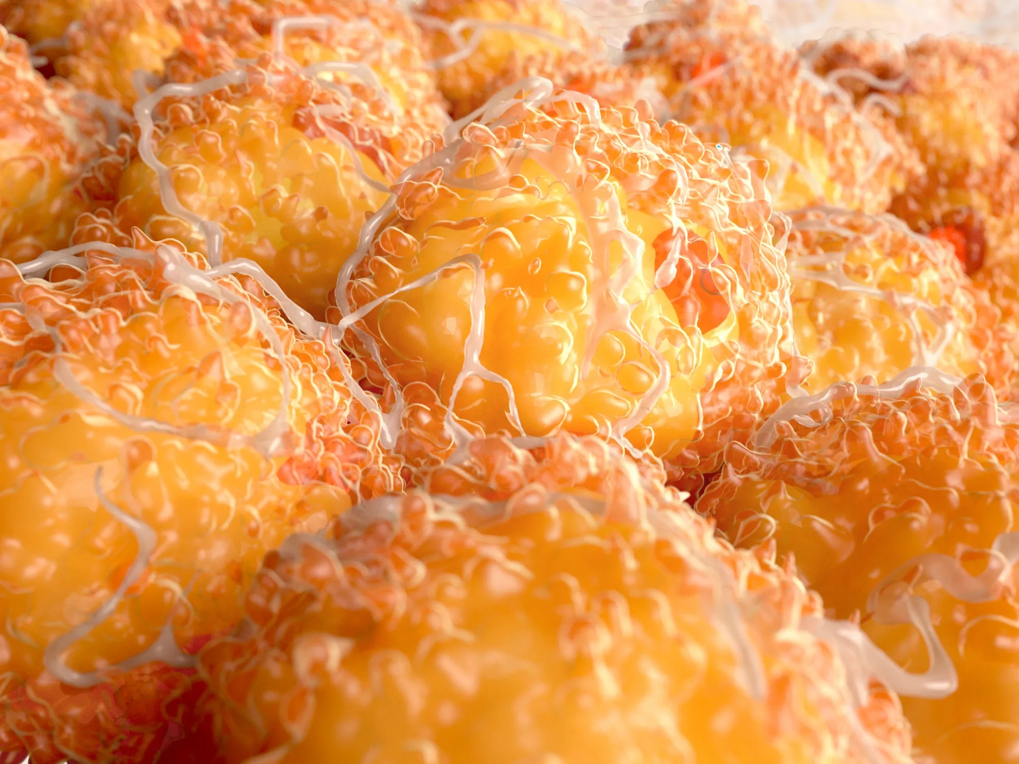 क्या ठंड में वजन अपने आप पिघलता है? जानिए ब्राउन फैट का रहस्य