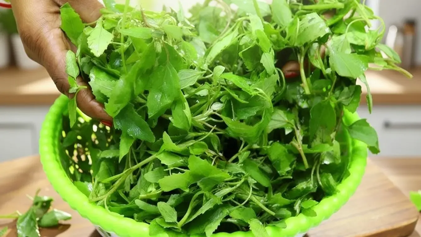 क्या सर्दियों में बथुआ है बेहद खास, एनीमिया और कब्ज जैसी समस्याओं से दिलाएगा राहत?