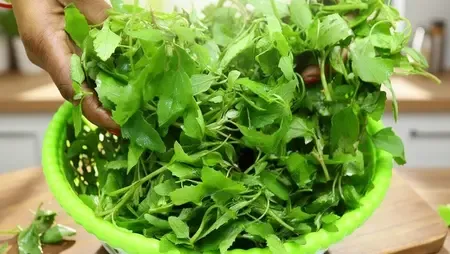 सर्दियों में बथुआ है बेहद खास, एनीमिया और कब्ज जैसी समस्याओं से दिलाएगा राहत