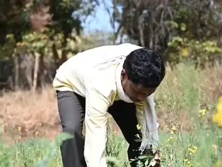 How Does the Saur Sujala Yojana Enhance Irrigation and Farm Income in Chhattisgarh's Mohbhatta Village?