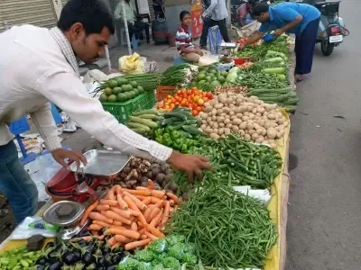 How Much Okra Will Saurashtra-Kutch Produce in 2024-25?