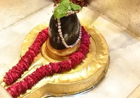 सावन विशेष : महादेव को क्यों प्रिय है भांग, आक और धतूरा? ‘नीलकंठ’ से है कनेक्शन