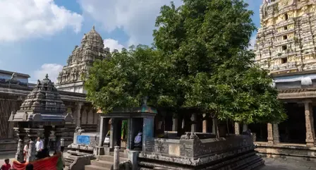 क्या 600 ईस्वी के इस मंदिर में पृथ्वी तत्व के रूप में होती है महादेव की पूजा और माता पार्वती ने यहीं दी थी परीक्षा?