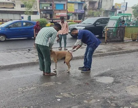 Ahmedabad AMC maps 1,050 sites in SC stray dog compliance drive