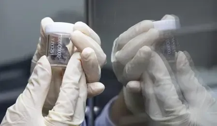 Scientists discover rare meteorite relics in Chang'e-6 lunar samples