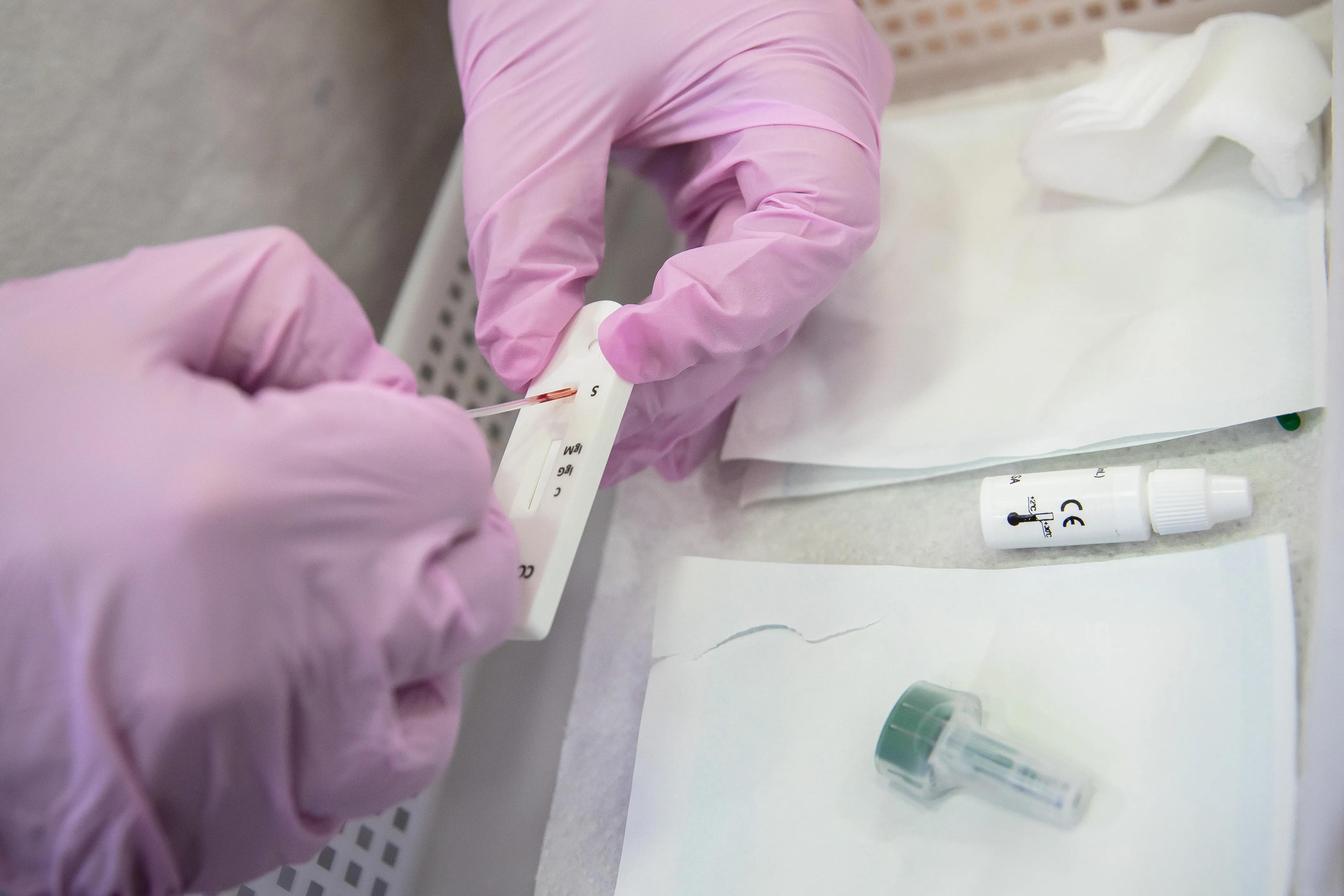 How Are Scientists Discovering Antibodies That Protect Children From Deadly Strep A Infection?