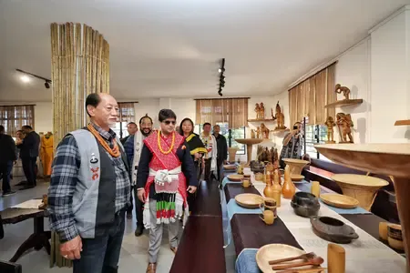 What New Developments Did Scindia Announce for Nagaland?