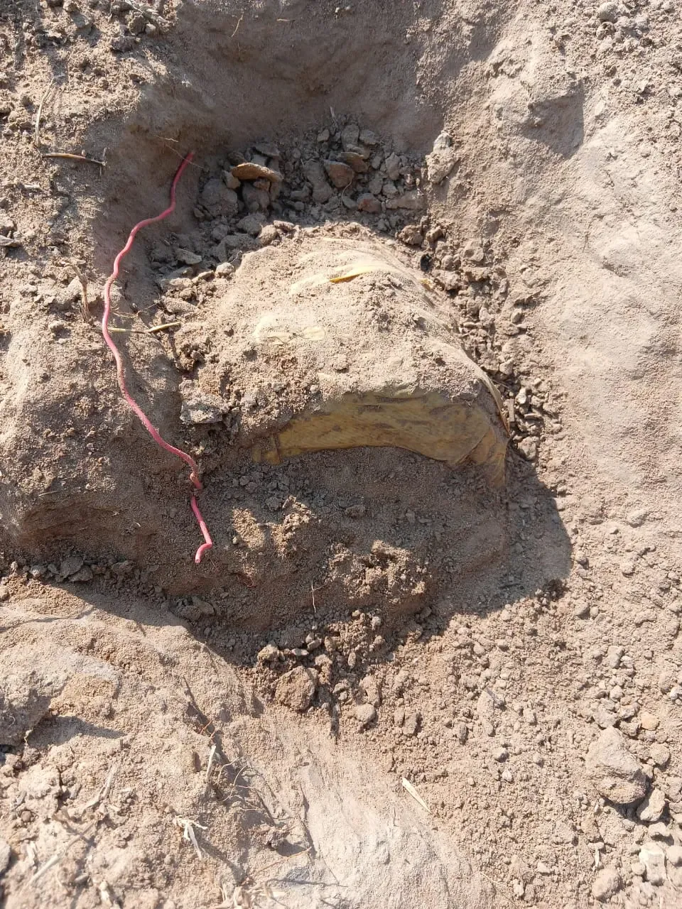 Have Security Forces Neutralised a 10-kg IED Planted by Maoists in Chhattisgarh?