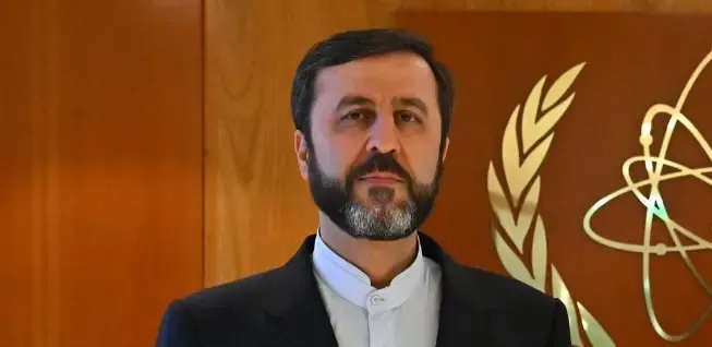 Iranian Official Criticizes IAEA Chief's Comments on Nuclear Program