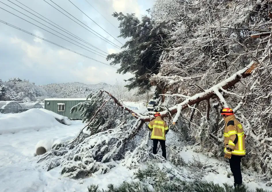 Seoul Prepares for Significant Snowfall Anticipated This Weekend