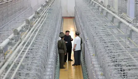Is there any change in radioactive levels in the Yellow Sea amid North Korean nuclear waste concerns?