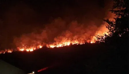 Serbia wildfires 2026: 300 hectares burn in Deliblato Sands amid extreme heat