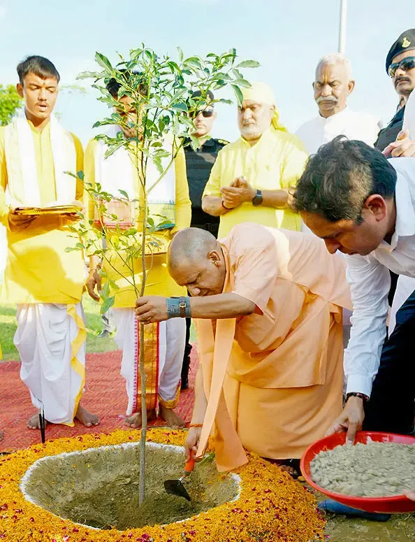 क्या सेवा पर्व के अंतर्गत देश में 1.25 करोड़ पौधे लगाए जाएंगे, यूपी को मिला 15 लाख पौधरोपण का लक्ष्य?