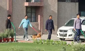 Why Are Multiple Schools in Delhi Receiving Bomb Threats?