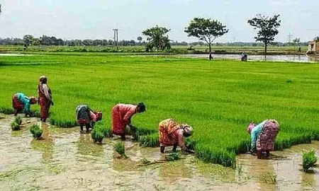 Tamil Nadu crop loan waiver draws farmer fury, local poll warning