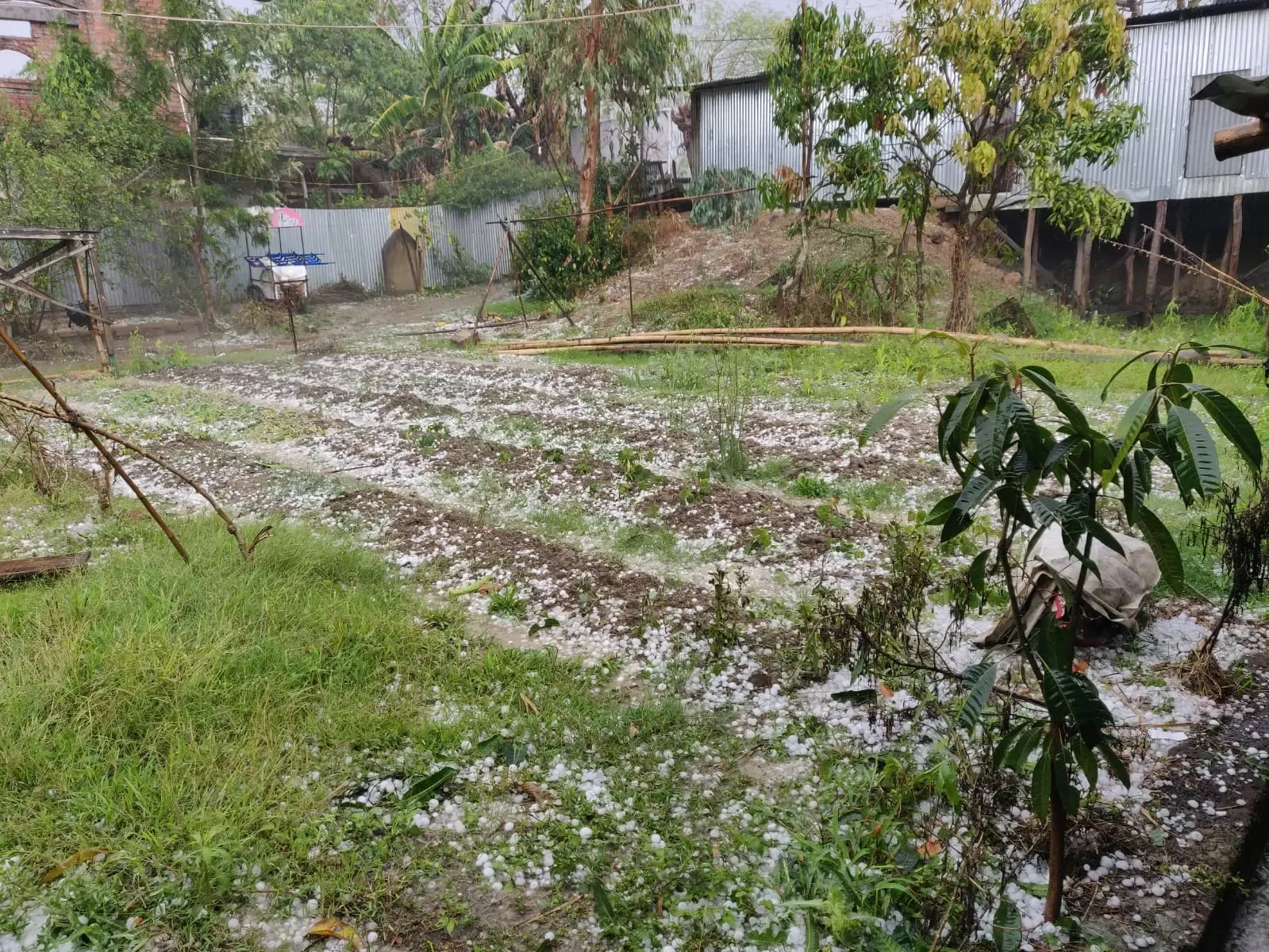 Meghalaya Hit by Devastating Hailstorm: Homes, Vehicles, and Crops Damaged