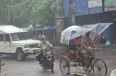 Patna storm uproots trees near CM, RJD offices; vehicles damaged