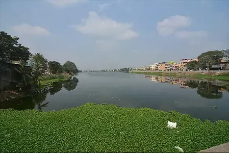 Is Sewage Discharge Polluting Velachery Lake? Residents Claim Official Apathy