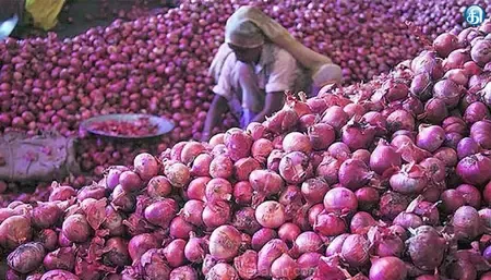 Why Have Shallot Prices Plummeted to Rs 10/kg in Perambalur?