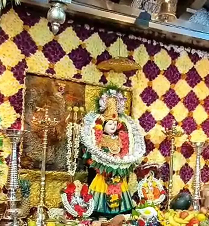 क्या शारदीय नवरात्रि में श्री जीवदानी देवी मंदिर में भक्तों की भारी भीड़ है?
