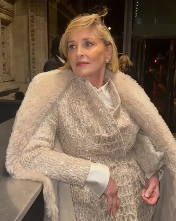 Sharon Stone Turns 68: A Celebration of Her 90s Glamour