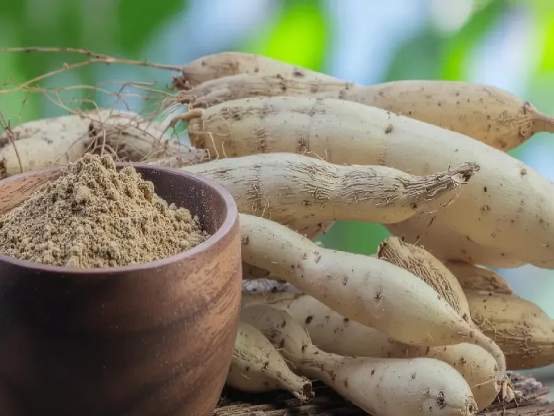 क्या शतावरी सिर्फ महिलाओं के लिए है या पुरुषों के लिए भी यह वरदान है?