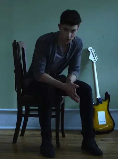 Shawn Mendes marks 10 years of 'Illuminate': 'Changed my life forever'