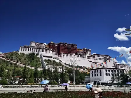 शीत्सांग में तेज विकास, मजबूत जीवन शक्ति दिखाई दी