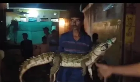 शिवपुरी में मगरमच्छ बना खिलौना, गोद में उठाकर लोगों ने खिंचवाई फोटो