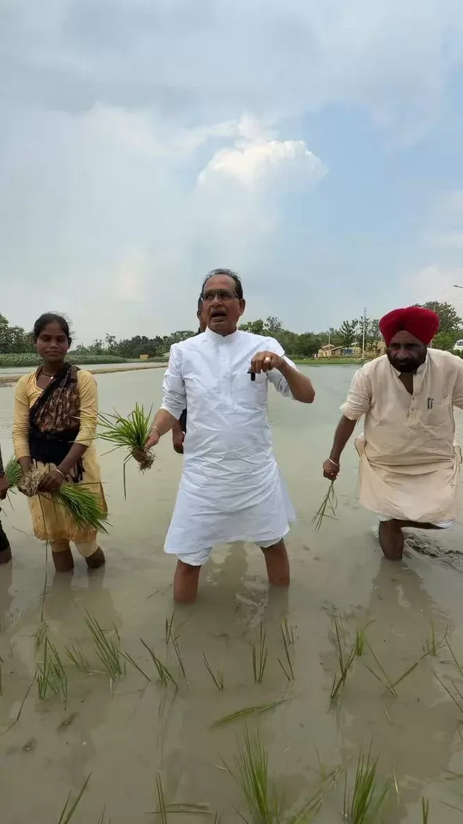 Shivraj Singh Chouhan Plants Paddy in Ayodhya, Backs Green Manure