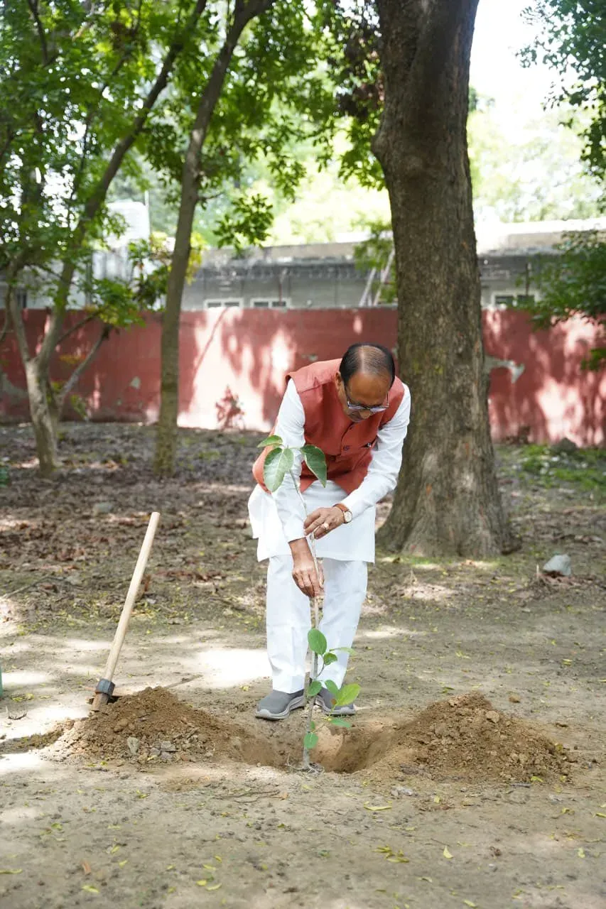 Shivraj Singh Chouhan Plants Sapling in Delhi, Launches #OnePlantADay Drive