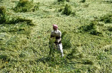 Shivraj Singh Chouhan Reviews Crop Damage from Unseasonal Weather Events