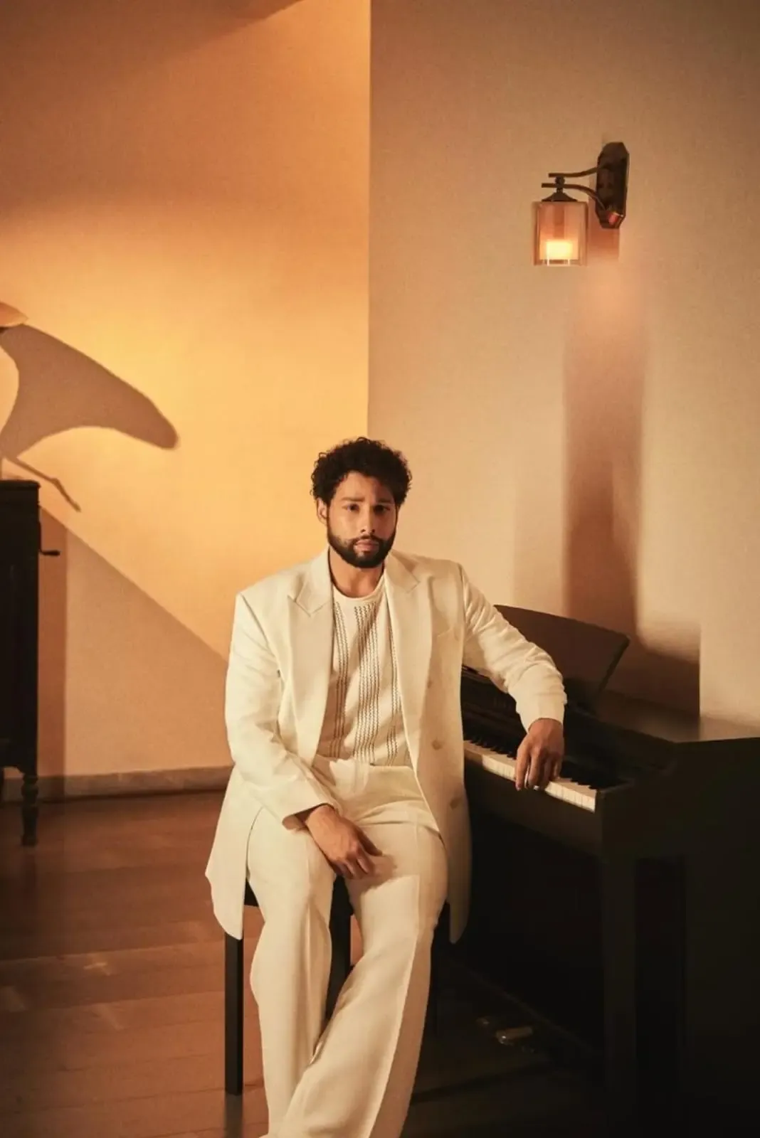 क्या सिद्धांत चतुर्वेदी ने बॉलीवुड में छोटे शहरों के लेखकों की कठिनाइयों पर चर्चा की?