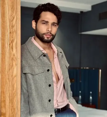 Has Siddhant Chaturvedi Ever Entered Batman Mode?