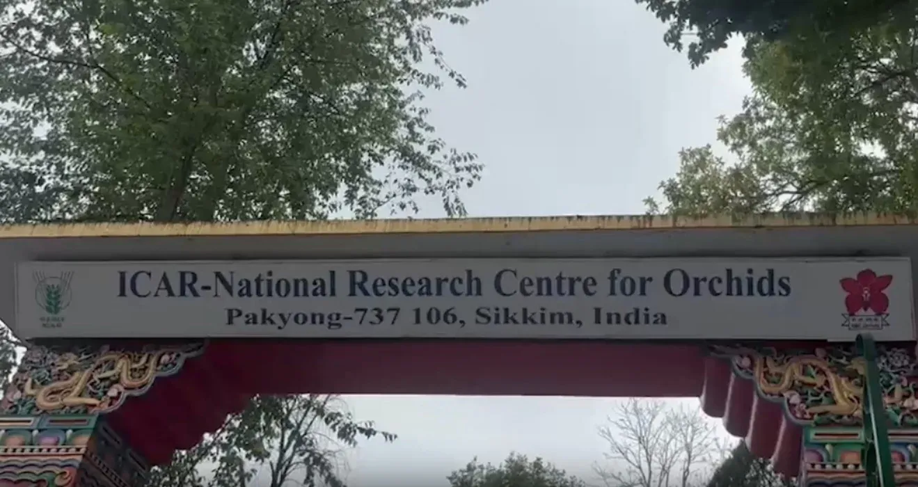 Sikkim orchids go global after Modi gifts them to Norway's PM Store