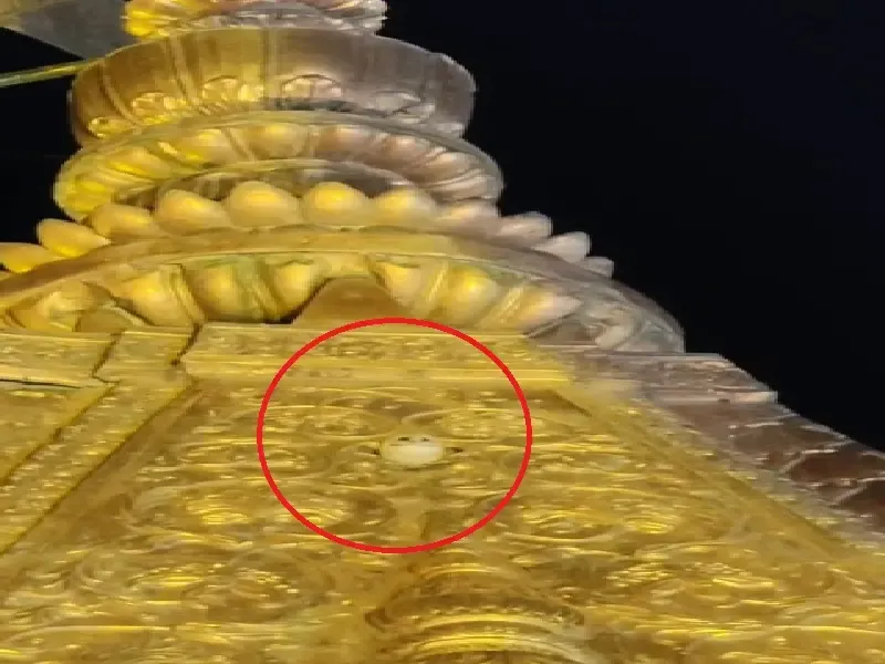 क्या 2025 में धार्मिक स्थलों पर चीलों और सफेद उल्लू ने मचाई धूम?